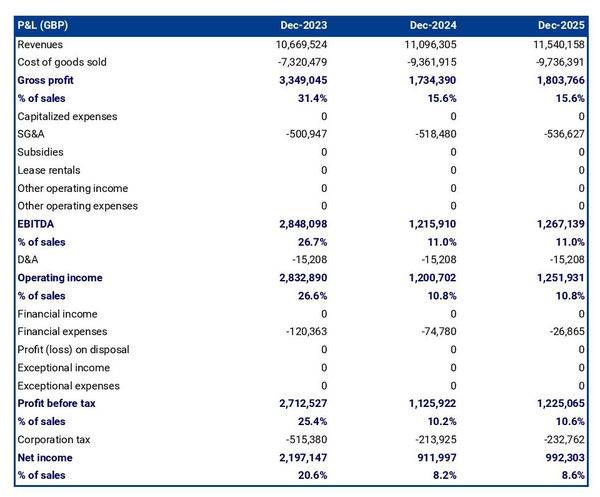 projected tire shop startup income statement