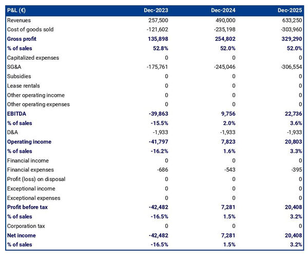 example of projected income statement for starting a tent and camping goods manufacturing business
