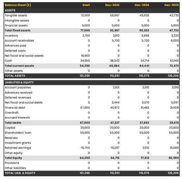 financial forecast to open a tissue and toilet paper manufacturing business balance sheet example