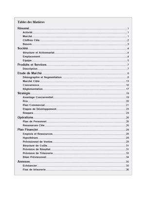 table des matières du modèle de business plan d'immobilier