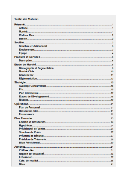 table des matières du modèle de business plan auberge de jeunesse