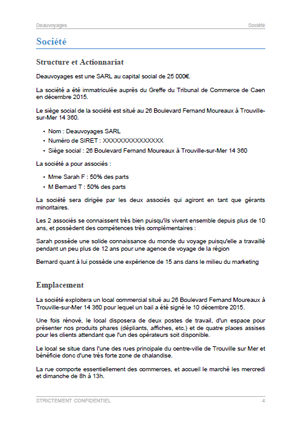 dossier de présentation du modèle de business plan d'agence de voyage