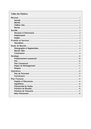 table des matières du modèle de business plan de magasin de déguisements