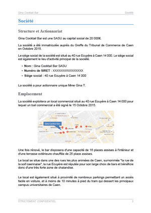 dossier de présentation du modèle de business plan de bar