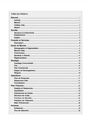 table des matières du modèle de business plan de boutique de vêtements