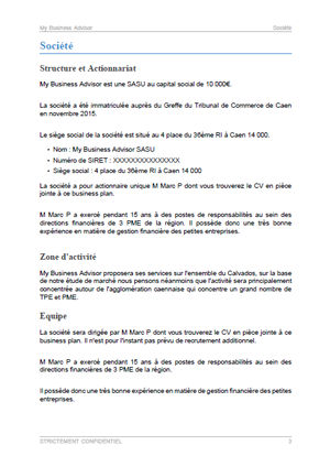 dossier de présentation du modèle de business plan de consultant indépendant