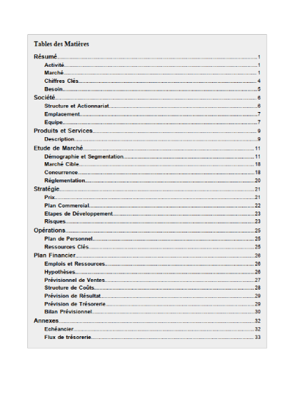 table des matières du modèle de business plan de cabinet de recrutement