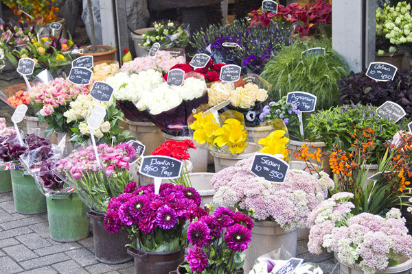 ouvrir et faire le business plan d'un magasin de fleurs