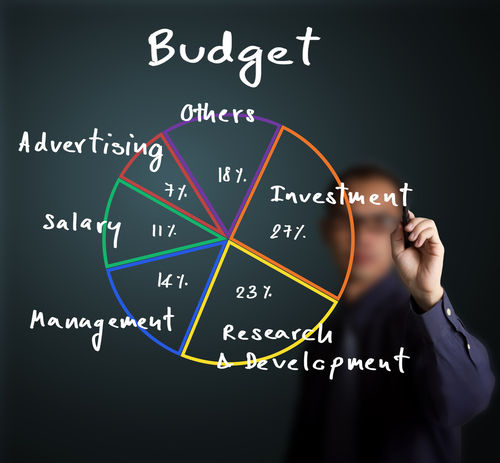 budget vs. business plan