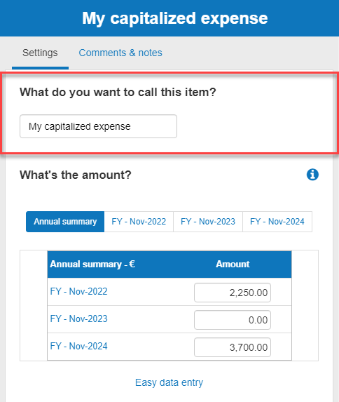 entering the name for my capitalized expenses in the business plan shop's financial forecasting software