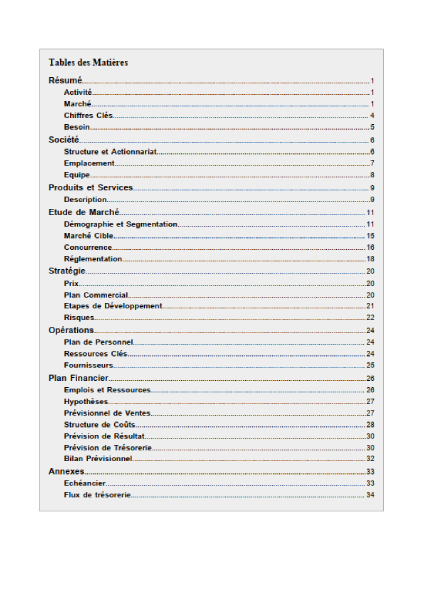 table des matières du modèle de business plan de magasin de chaussures