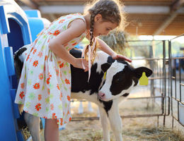 Ouvrir une ferme pédagogique