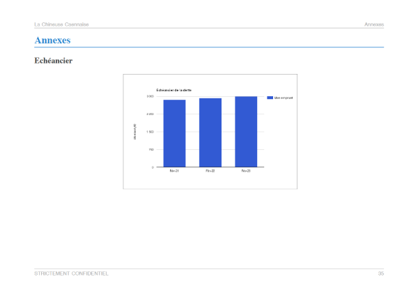 Exemple de graphique du modèle de business plan de friperie