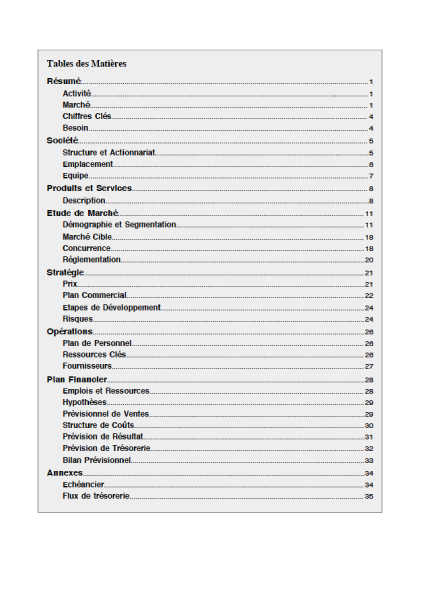table des matières de l'exemple de business plan de friperie