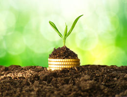 comment les investisseurs évaluent-ils les business plans