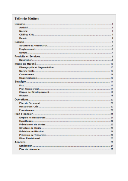 table des matières du modèle de business plan de maroquinerie