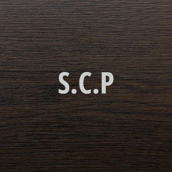 SCP : la Société Civile Professionnelle