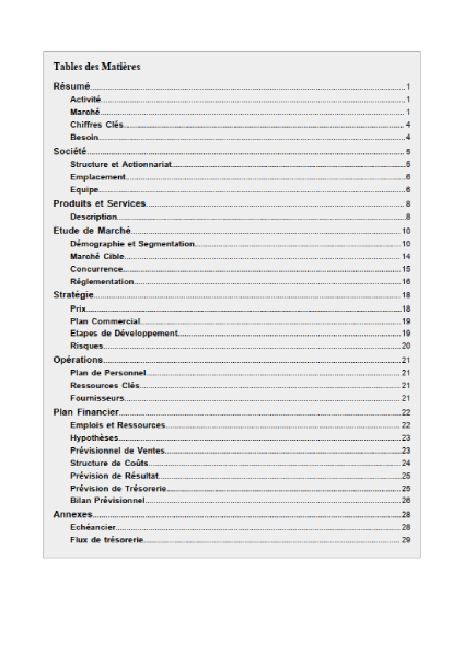 table des matières du modèle de business plan de photographe