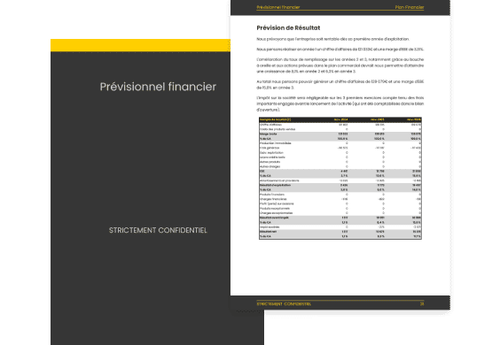 prévisionnel d'entreprise de livraison de colis